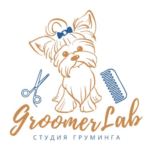 Обучение Грумингу