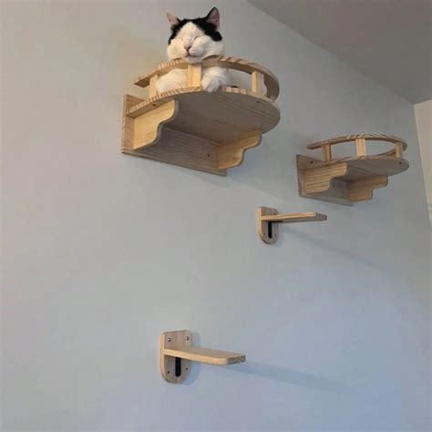Cat Hammock And Cat Wall Shelves , Cat Wall Furniture , Cat Ladder And ...