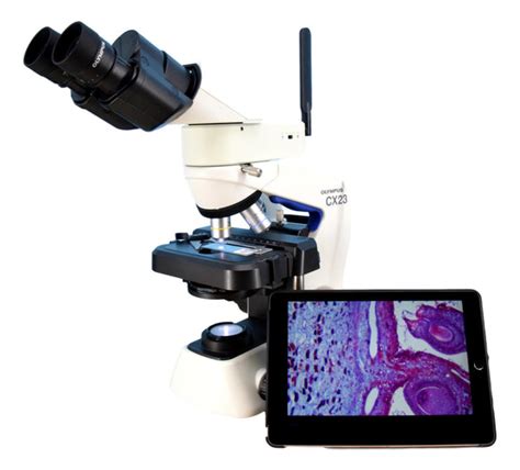 Image result for Microscope Camera Module Setup