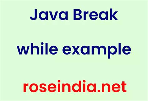 Image result for While Loop Java Break