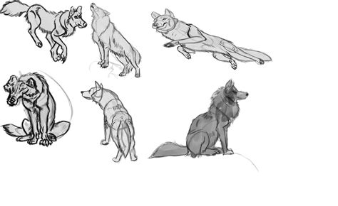 Image result for Wolf Art Tutorial