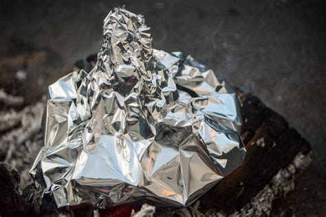 Image result for Silver Shell Turtle