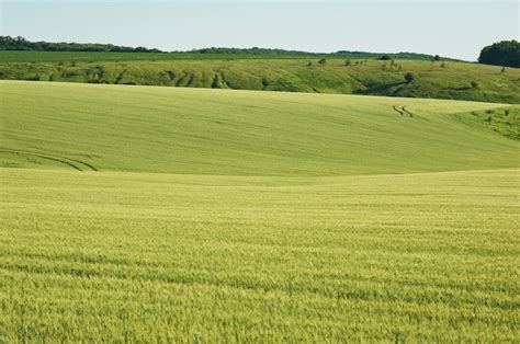 Field 的图像结果