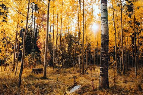 Hue, Saturation, Value: How to Use HSV Color Model in Photography - 2026 - MasterClass