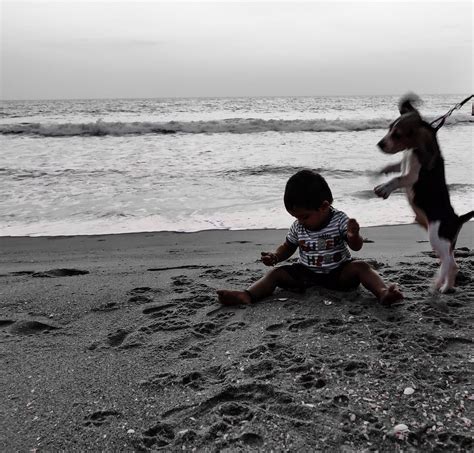 KAVVAYI BEACH HOUSE (Thrikaripur) - Guesthouse Reviews & Photos ...