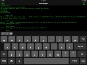Image result for iOS Command Syntax Check