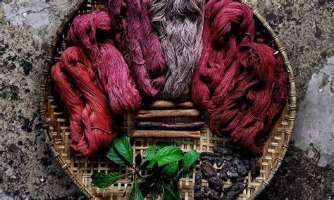 Embracing Nature: Exploring the Difference Between Natural Dyes and Az ...
