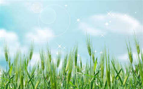 Computer Them 的图像结果