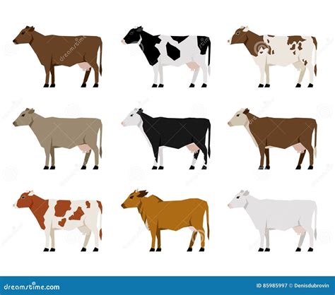 Milk Cow Breeds