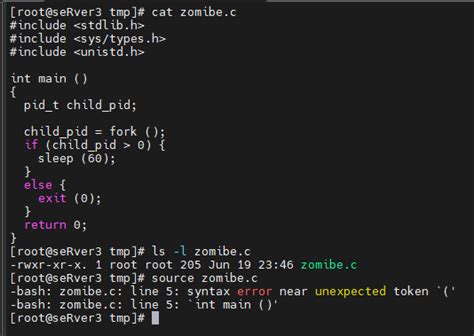 Zombie Process Example 的图像结果