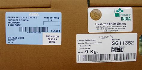 Freshtrop - Leading Exporters of Grapes & Pomegranates from India to ...