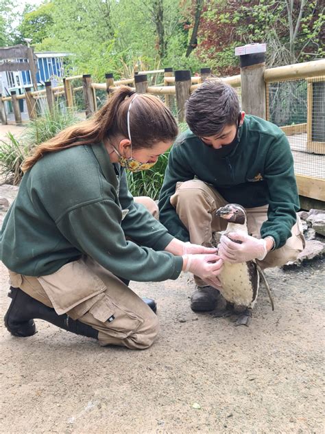 How Much Do Zookeepers Make At The Columbus Zoo at Amy Langworthy blog