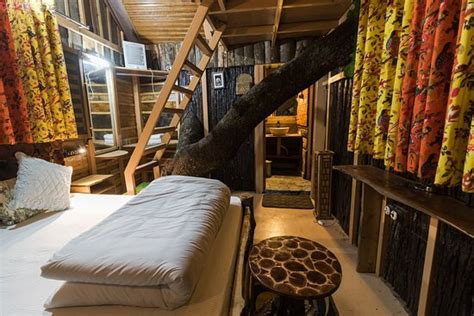 TIGER FALL ECO RESORT (Chakrata, Uttarakhand) - Lodge Reviews, Photos ...