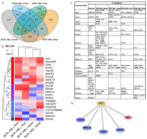 Integrating Single-Cell Transcriptome and Network Analysis to ...