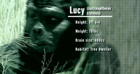 Australopithecus Documentary 的图像结果