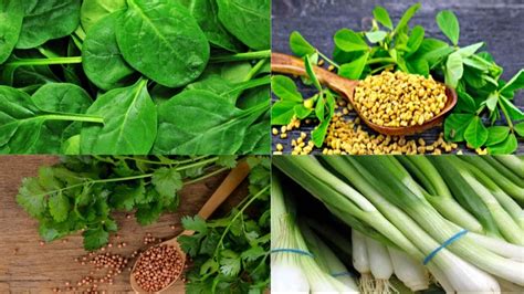 मात्र 30 रुपये में खरीदें इन 4 सब्जियों के बीज, ऐसे करें ऑनलाइन ऑर्डर ...