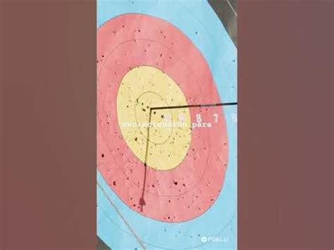 Historia y evolución de las flechas