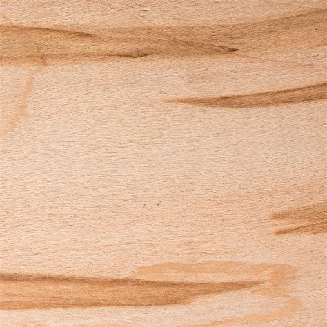 Ambrosia Maple :: West Penn Hardwoods