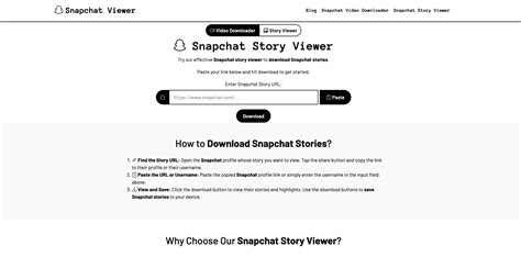 9 Free Snapchat Story Viewer 2026-Feb: Top Anonymous Tools That ...