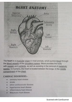 DRUG Dosing - ANONYMOUS - pharm d - Studocu