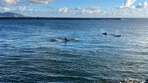 Tillamook PUD Announces 2026 Community Support Grant Program ...