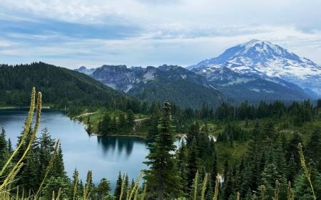 Image result for Nature Sample