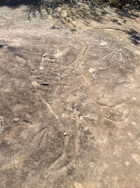 Aboriginal Rock Engravings: Ancient Petroglyphs & Spiritual Significance