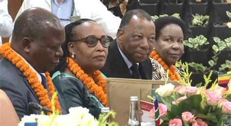 Ambassadors, High Commissioners of African countries visit AIIA to ...