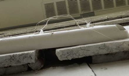 Rodent Entry Points 的图像结果