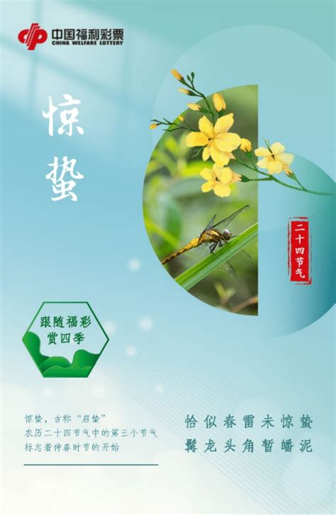 【高清组图】昆明：仲春时节紫藤开_云南网