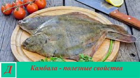 Камбала: свойства морской и пресноводной рыбы, польза и вред для ...
