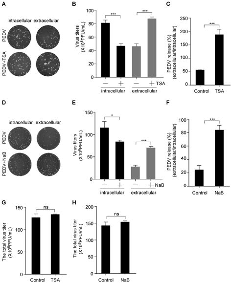 HDAC-Specific Inhibitors Induce the Release of Porcine Epidemic ...