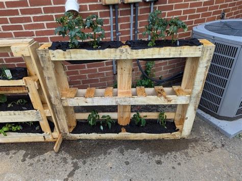 Freedom High School students re-engineer pallets into portable gardens ...