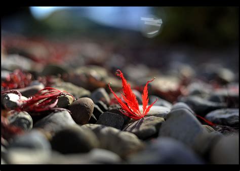 2025 CNY Scholastic Art Awards: Photography - syracuse.com
