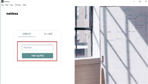 Netless Script 的图像结果