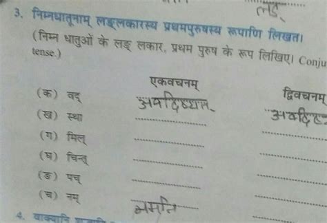 Ples anyone gives me answer it's urgent I am little bit week in ...