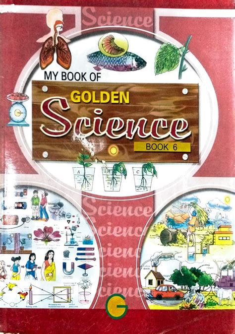 MY GOLDEN SCIENCE PART SIX : Gagan kumar sen: Amazon.in: Books