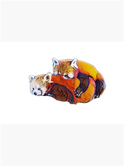 Image result for Red Panda Cuddle