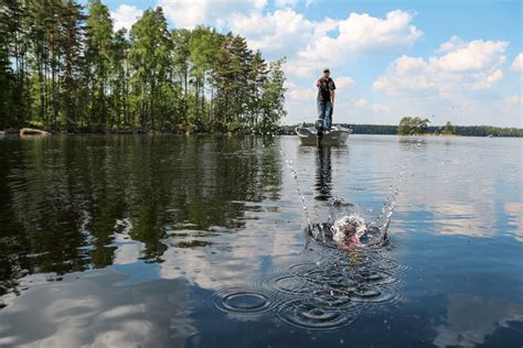 Image result for Angelkoder Schweden Hecht