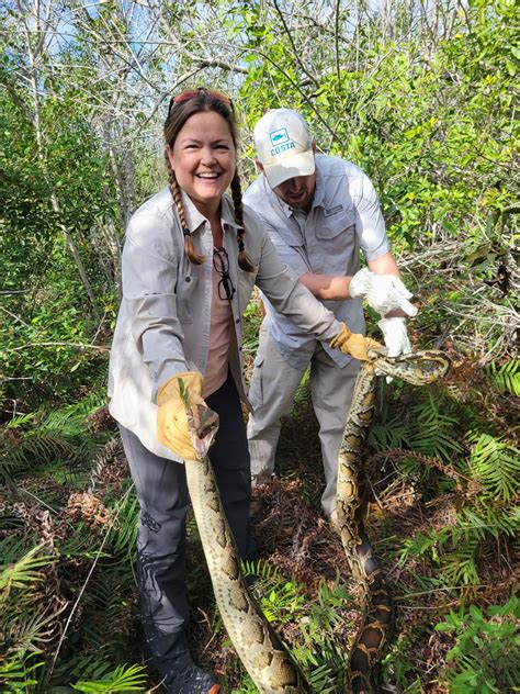 Python Hunting Tips 的图像结果