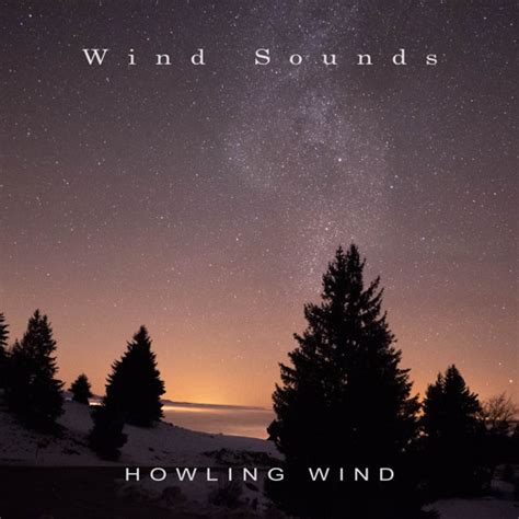 Howling Wind Sounds ASMR 的图像结果