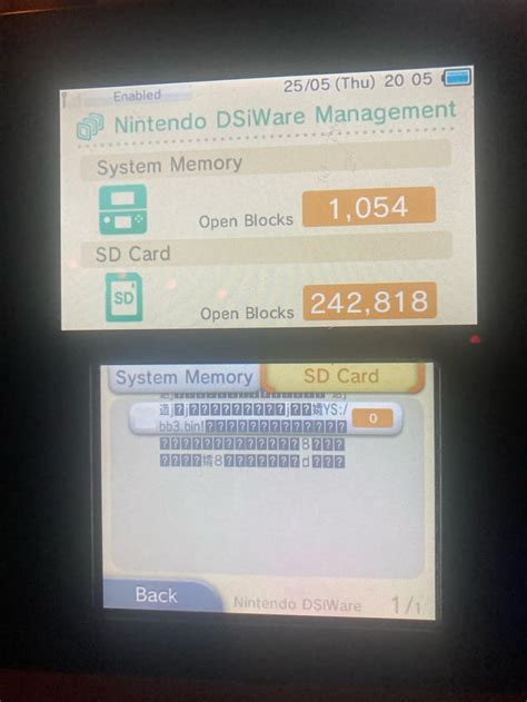 Image result for 3DS Homebrew Guide