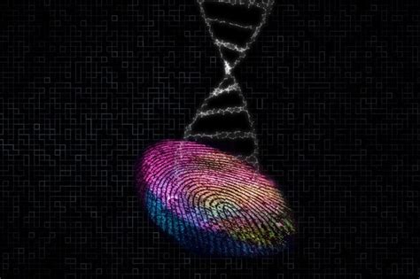 Image result for Plot Time Binary Series Python