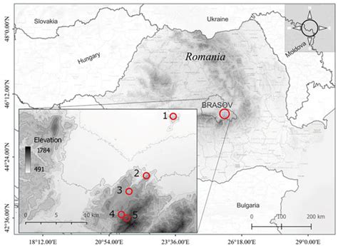 Forests | Special Issue : Woody Plant Phenology in a Changing Climate