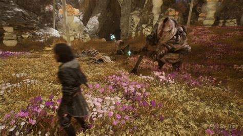 Clair Obscur: Expedition 33: Yellow Harvest Walkthrough - Journals ...