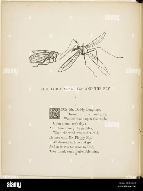 Fly and daddy long-legs. Verse and illustrations from A Book of ...