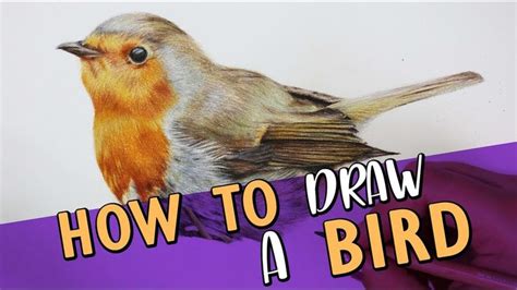 Image result for Drawing Birds Tutorial