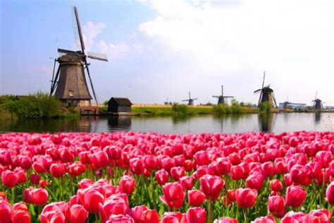 在荷兰留学是怎么样的体验？ - 知乎