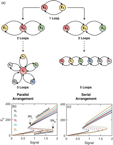 Image result for Bi-Directional Feedback Loop