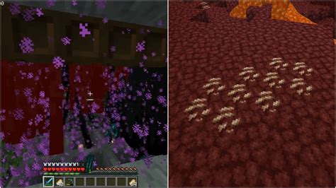 Fastest Ways To Grind Xp: The Best Herbs For Your Build